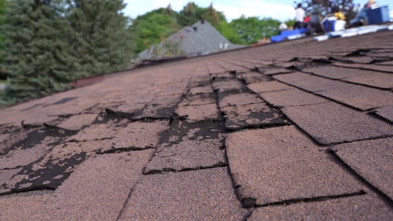 Best Roof Maintenance and Cleaning  in Plum, PA