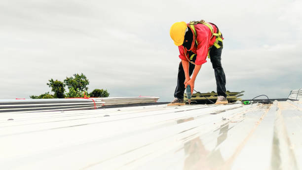 Best Chimney Flashing Repair  in Plum, PA